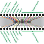 LDRライトセンサー Digilent 計測プラットフォームを使用した電圧による光強度測定ケーススタディ